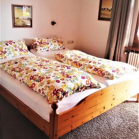 Im Park Apartment Hinterzarten