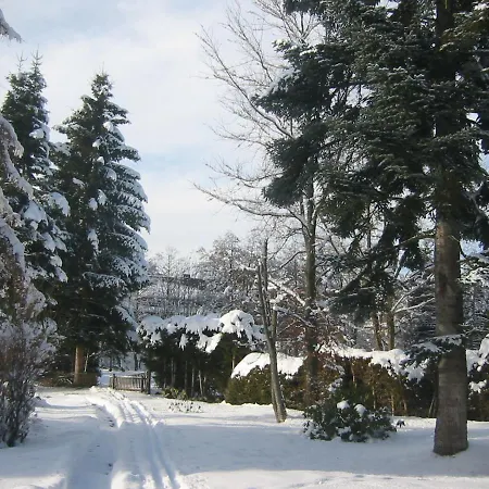 Im Park Apartment Hinterzarten