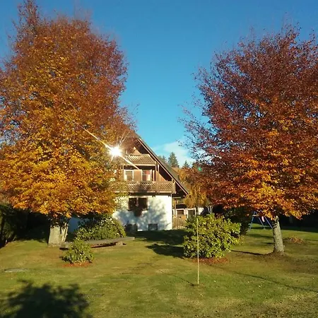 Im Park Apartamento Hinterzarten