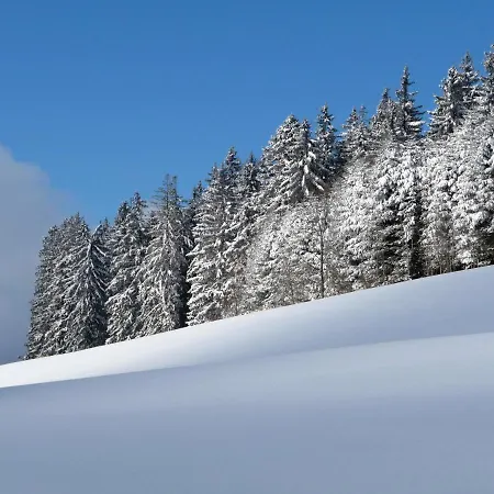 Im Park * Hinterzarten
