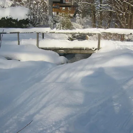 Im Park * Hinterzarten