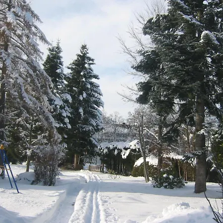 Apartment Im Park Hinterzarten