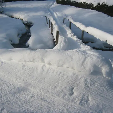 Lejlighed Im Park Hinterzarten